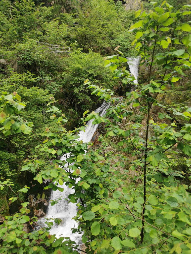 Randonnée Club Vosgien Lièpvre Rombach Ie franc aux 7 cascades Allerheil… 4