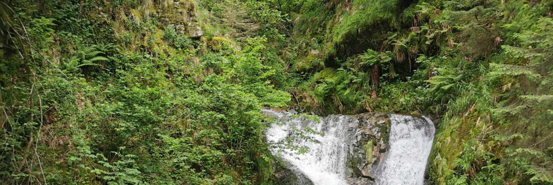 Retour sur la sortie Oppenau Wasser fall des 7 cascades en Forêt Noire, samedi 8 juin 2024